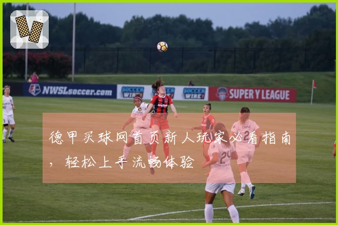 德甲买球网首页新人玩家必看指南，轻松上手流畅体验