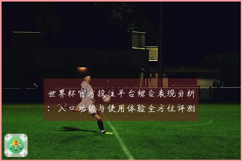 世界杯官方投注平台综合表现分析：入口功能与使用体验全方位评测