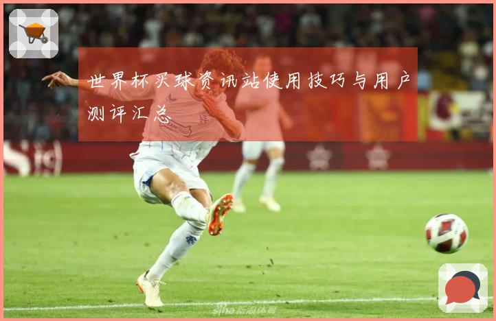 世界杯买球资讯站使用技巧与用户测评汇总