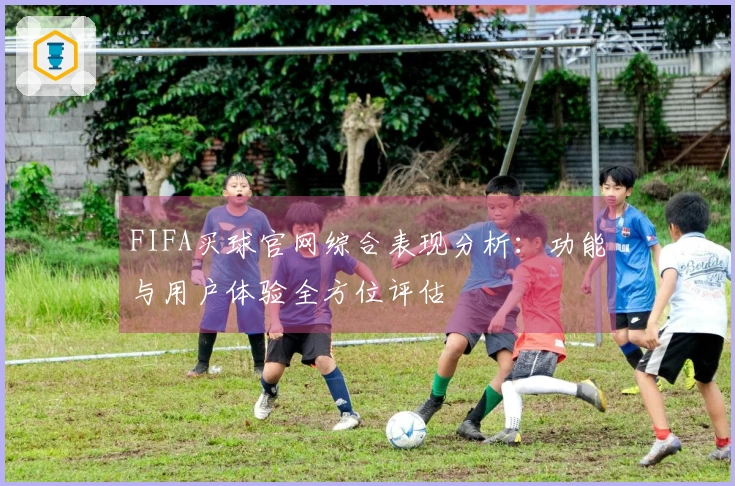 FIFA买球官网综合表现分析:功能与用户体验全方位评估
